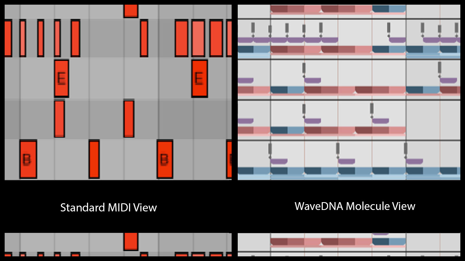 Standard MIDI Versus Molecule